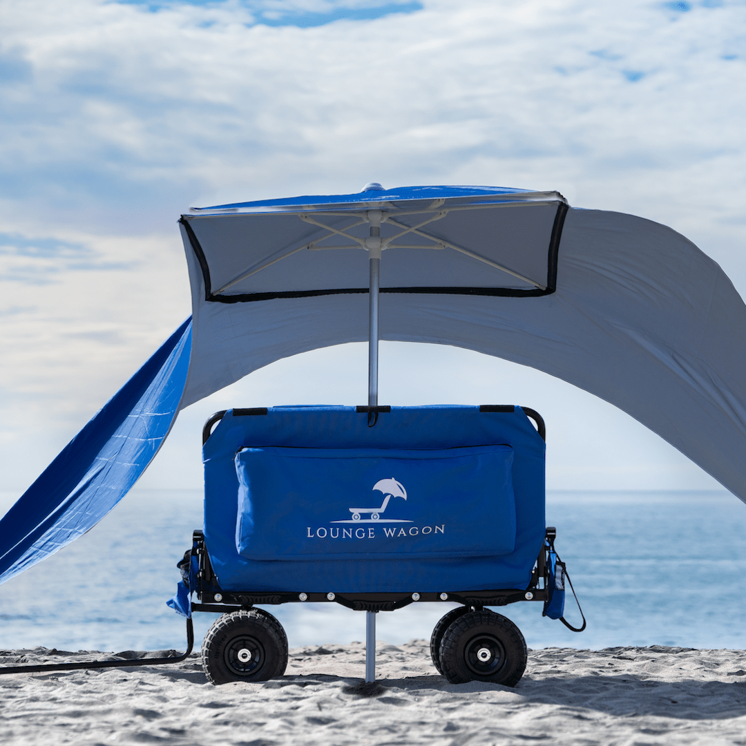Canopy Umbrella-5