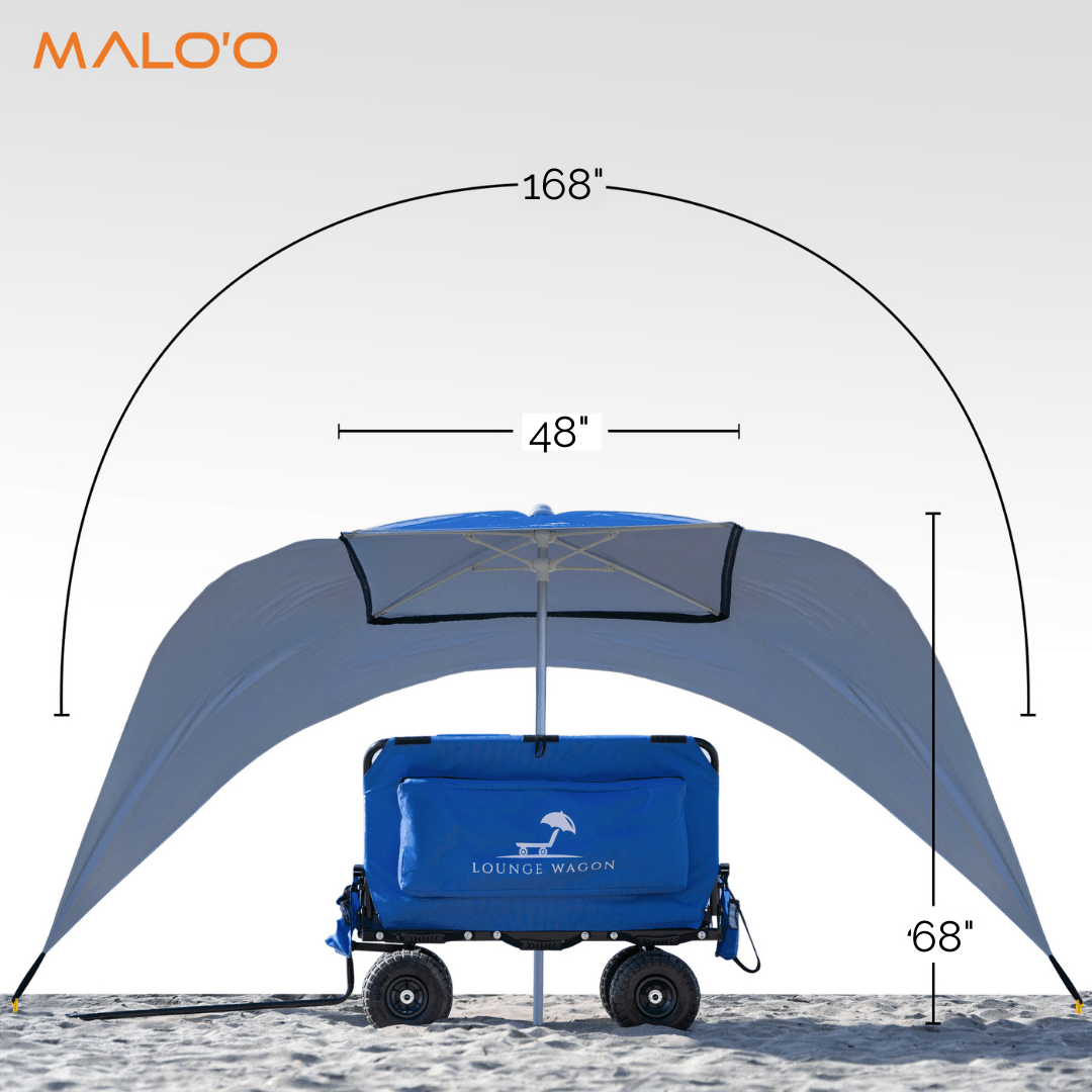 Canopy Umbrella-3