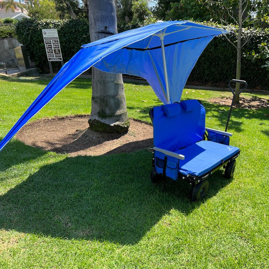 Canopy Umbrella-0